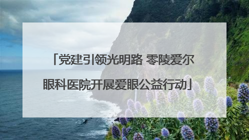 党建引领光明路 零陵爱尔眼科医院开展爱眼公益行动