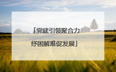 党建引领聚合力 纾困解难促发展