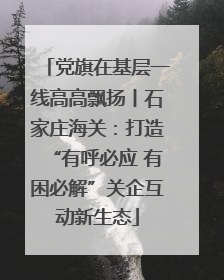 党旗在基层一线高高飘扬丨石家庄海关：打造“有呼必应 有困必解”关企互动新生态