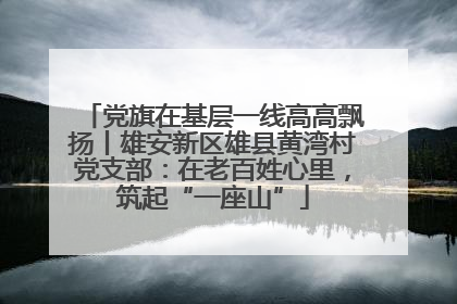 党旗在基层一线高高飘扬丨雄安新区雄县黄湾村党支部：在老百姓心里，筑起“一座山”
