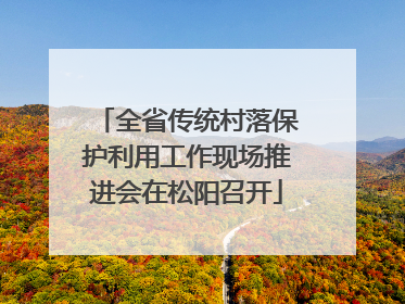 全省传统村落保护利用工作现场推进会在松阳召开