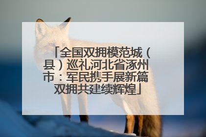 全国双拥模范城（县）巡礼河北省涿州市：军民携手展新篇 双拥共建续辉煌