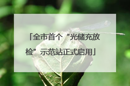 全市首个“光储充放检”示范站正式启用