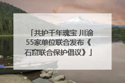 共护千年瑰宝 川渝55家单位联合发布《石窟联合保护倡议》