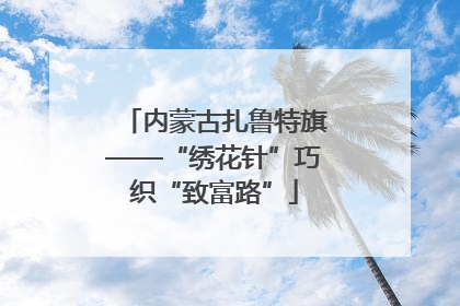 内蒙古扎鲁特旗——“绣花针”巧织“致富路”