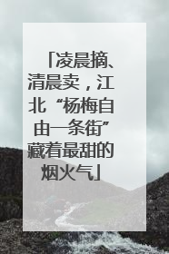 凌晨摘、清晨卖，江北“杨梅自由一条街”藏着最甜的烟火气