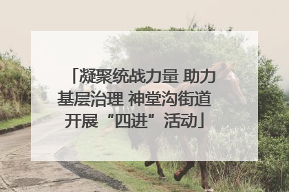 凝聚统战力量 助力基层治理 神堂沟街道开展“四进”活动