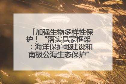 加强生物多样性保护！“落实昆蒙框架：海洋保护地建设和南极公海生态保护”主题论坛将举办