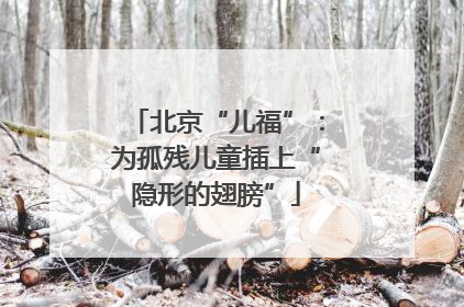 北京“儿福”：为孤残儿童插上“隐形的翅膀”