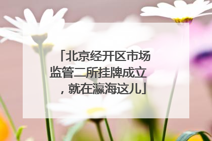 北京经开区市场监管二所挂牌成立，就在瀛海这儿