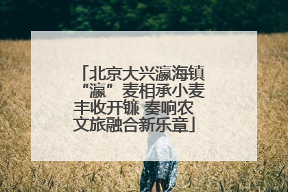 北京大兴瀛海镇“瀛”麦相承小麦丰收开镰 奏响农文旅融合新乐章