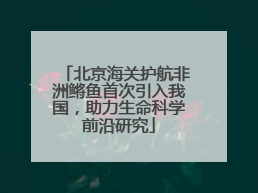 北京海关护航非洲鳉鱼首次引入我国，助力生命科学前沿研究
