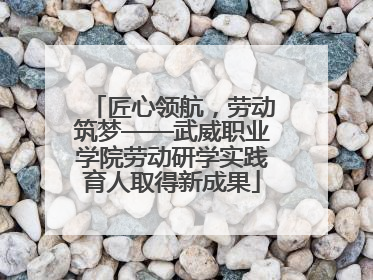 匠心领航，劳动筑梦——武威职业学院劳动研学实践育人取得新成果
