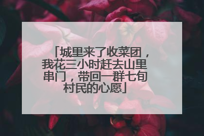 城里来了收菜团，我花三小时赶去山里串门，带回一群七旬村民的心愿