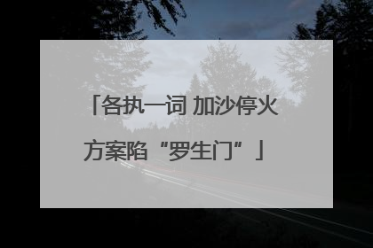 各执一词 加沙停火方案陷“罗生门”