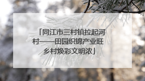 同江市三村镇拉起河村——田园织锦产业旺 乡村焕彩文明浓