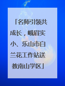 名师引领共成长，峨眉实小、乐山市白兰花工作站送教南山学区