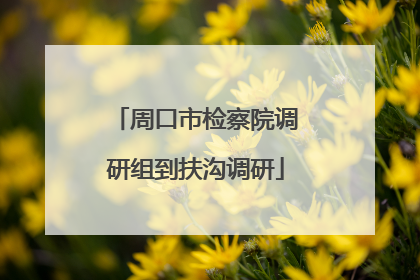 周口市检察院调研组到扶沟调研