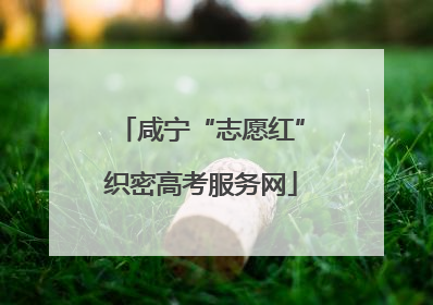 咸宁“志愿红”织密高考服务网