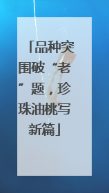 品种突围破“老”题，珍珠油桃写新篇