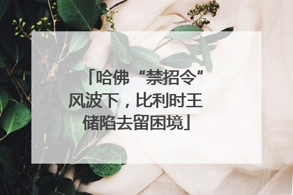 哈佛“禁招令”风波下，比利时王储陷去留困境