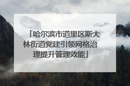 哈尔滨市道里区斯大林街道党建引领网格治理提升管理效能