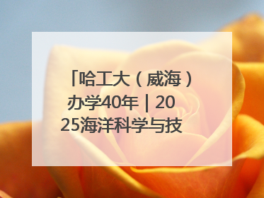 哈工大（威海）办学40年｜2025海洋科学与技术国际学术会议在威海召开