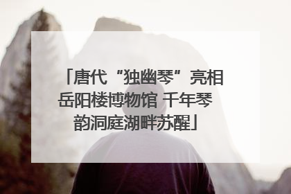 唐代“独幽琴”亮相岳阳楼博物馆 千年琴韵洞庭湖畔苏醒