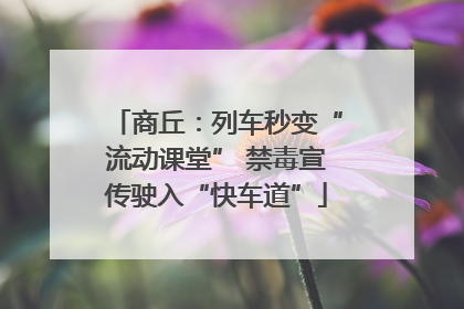 商丘：列车秒变“流动课堂” 禁毒宣传驶入“快车道”