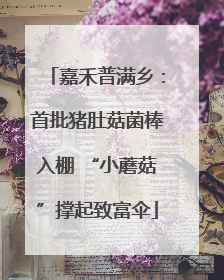 嘉禾普满乡：首批猪肚菇菌棒入棚 “小蘑菇”撑起致富伞
