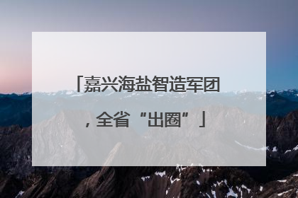 嘉兴海盐智造军团，全省“出圈”
