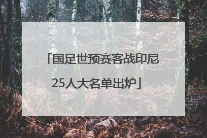 国足世预赛客战印尼25人大名单出炉
