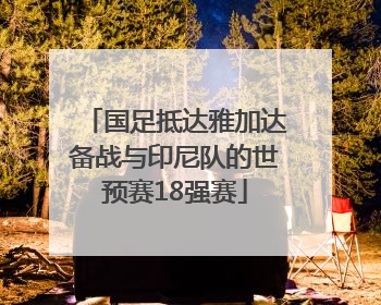 国足抵达雅加达备战与印尼队的世预赛18强赛