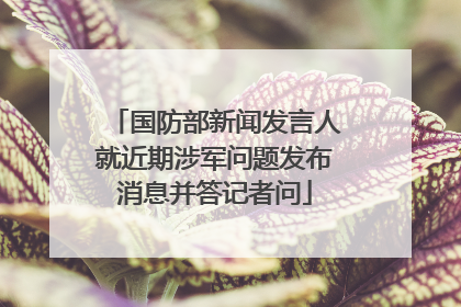 国防部新闻发言人就近期涉军问题发布消息并答记者问
