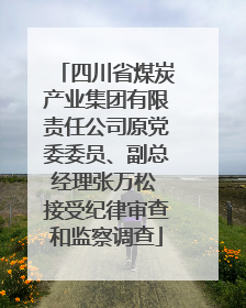 四川省煤炭产业集团有限责任公司原党委委员、副总经理张万松 接受纪律审查和监察调查
