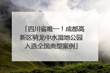 四川省唯一！成都高新区骑龙中水湿地公园入选全国典型案例