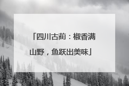 四川古蔺：椒香满山野，鱼跃出美味