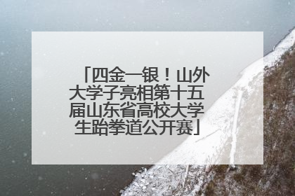 四金一银！山外大学子亮相第十五届山东省高校大学生跆拳道公开赛