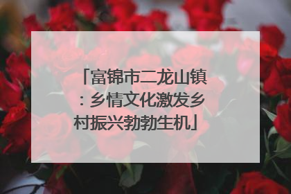 富锦市二龙山镇：乡情文化激发乡村振兴勃勃生机