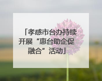 孝感市台办持续开展“惠台助企促融合”活动