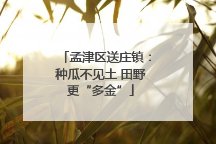 孟津区送庄镇：种瓜不见土 田野更“多金”