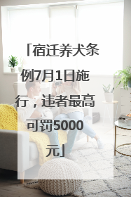 宿迁养犬条例7月1日施行，违者最高可罚5000元