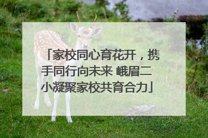 家校同心育花开，携手同行向未来 峨眉二小凝聚家校共育合力
