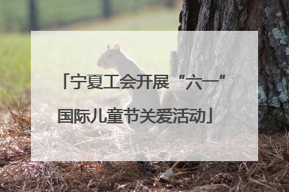 宁夏工会开展“六一”国际儿童节关爱活动