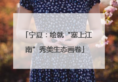 宁夏：绘就“塞上江南”秀美生态画卷