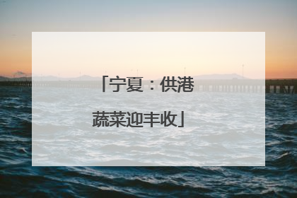 宁夏：供港蔬菜迎丰收