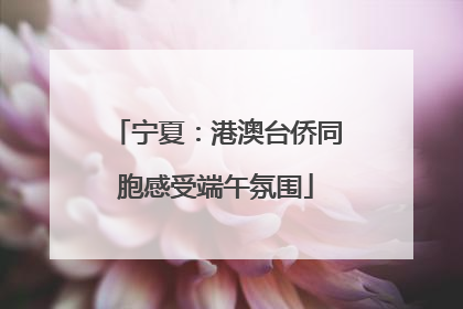 宁夏：港澳台侨同胞感受端午氛围