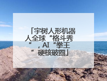 宇树人形机器人全球“格斗秀”，AI“拳王”硬核破圈