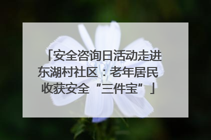 安全咨询日活动走进东湖村社区：老年居民收获安全“三件宝”