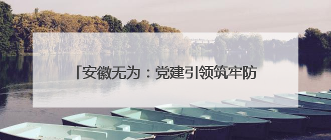 安徽无为：党建引领筑牢防范非法集资“红色防线”